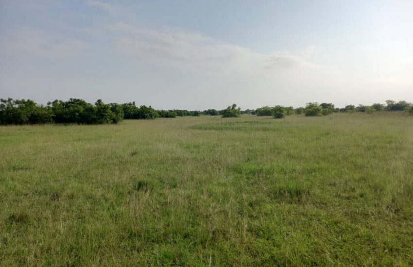 to Cosmos Real Estate Ltd